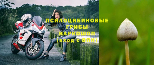 первитин Белоозёрский