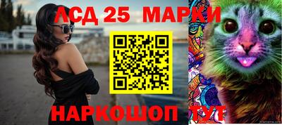 СК Бийск