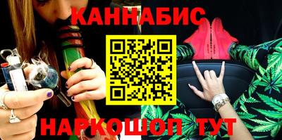 СК Бийск