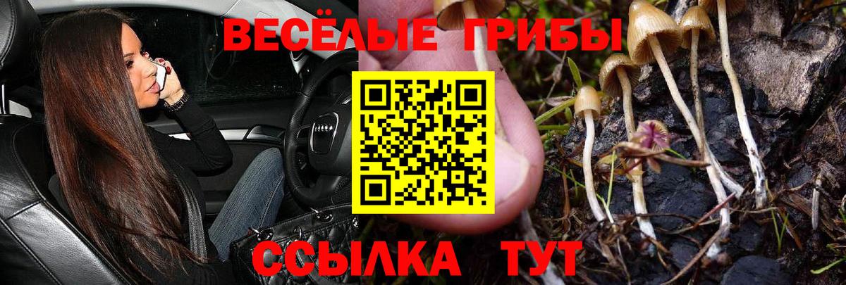 Гулькевичи  Псилоцибиновые грибы GOLDEN TEACHER  Вход с VPN 